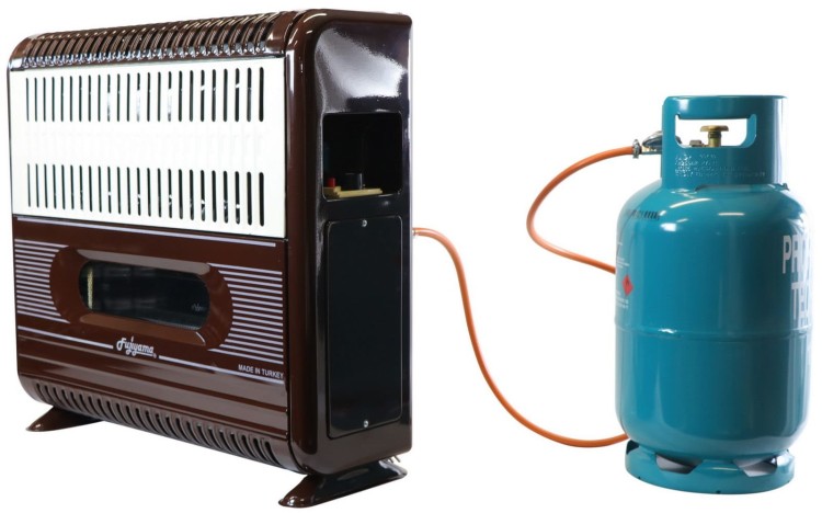 Balanced Flue Fan Assisted Gas Convector Heater