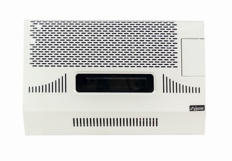 Balanced Flue Fan Assisted Gas Convector Heater