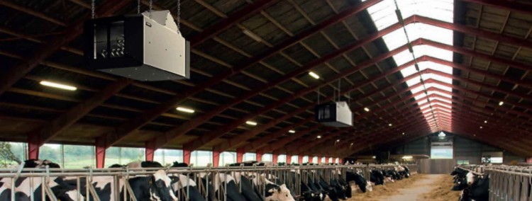 nagrzewnicA  w oborze.jpg