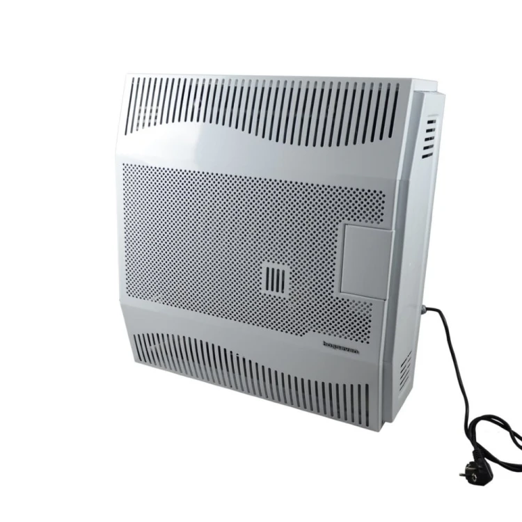 Balanced Flue Gas Convector Heater